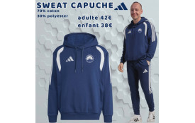 Sweat à capuche Tiro 26 Adulte
